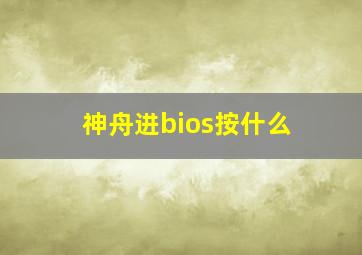 神舟进bios按什么