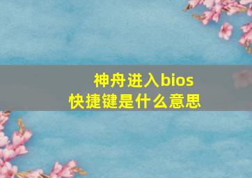 神舟进入bios快捷键是什么意思