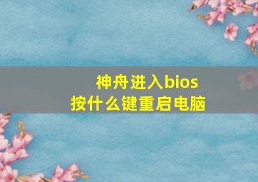 神舟进入bios按什么键重启电脑