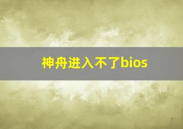 神舟进入不了bios