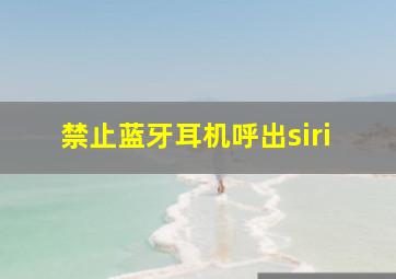 禁止蓝牙耳机呼出siri