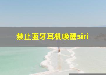 禁止蓝牙耳机唤醒siri