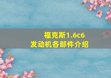 福克斯1.6c6发动机各部件介绍