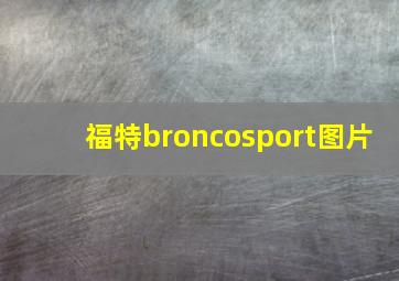 福特broncosport图片