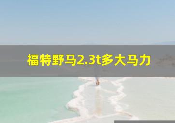 福特野马2.3t多大马力