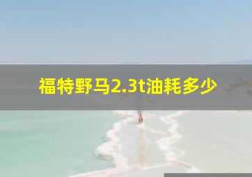 福特野马2.3t油耗多少