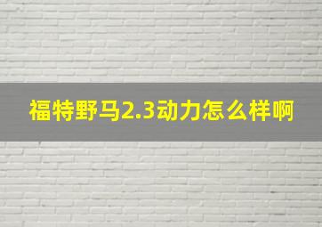 福特野马2.3动力怎么样啊