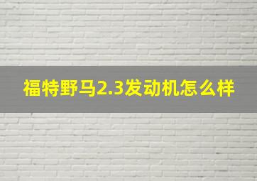 福特野马2.3发动机怎么样