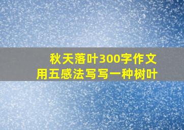 秋天落叶300字作文用五感法写写一种树叶