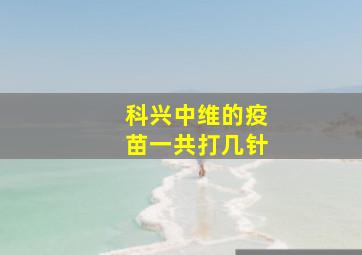 科兴中维的疫苗一共打几针