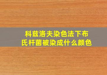 科兹洛夫染色法下布氏杆菌被染成什么颜色