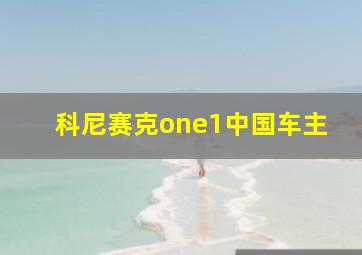 科尼赛克one1中国车主