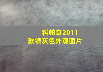 科帕奇2011款银灰色外观图片