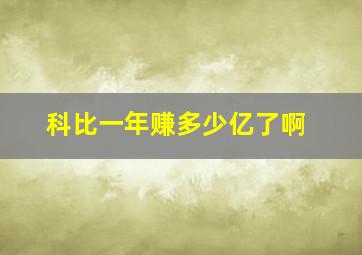 科比一年赚多少亿了啊