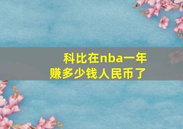 科比在nba一年赚多少钱人民币了