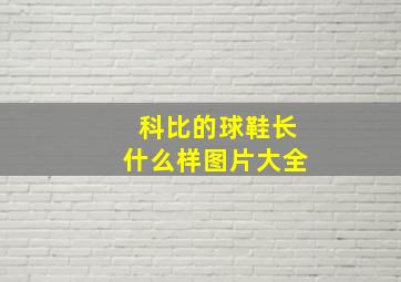 科比的球鞋长什么样图片大全