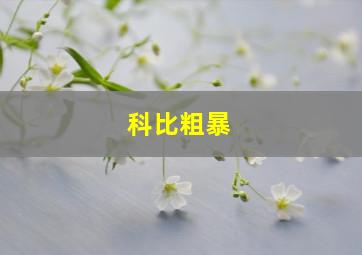 科比粗暴