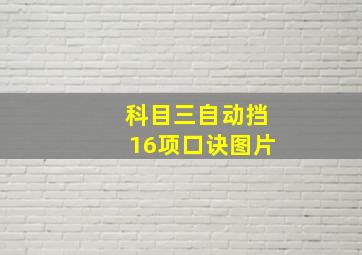 科目三自动挡16项口诀图片