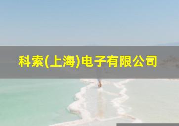 科索(上海)电子有限公司