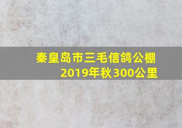 秦皇岛市三毛信鸽公棚2019年秋300公里