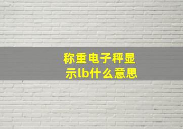 称重电子秤显示lb什么意思