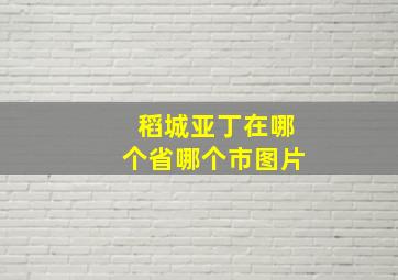 稻城亚丁在哪个省哪个市图片