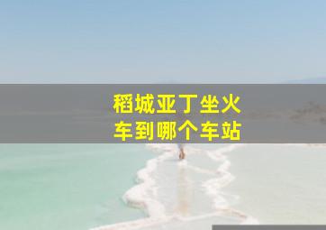 稻城亚丁坐火车到哪个车站