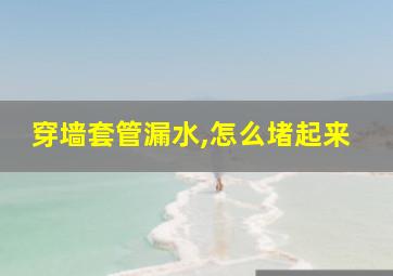 穿墙套管漏水,怎么堵起来