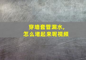 穿墙套管漏水,怎么堵起来呢视频