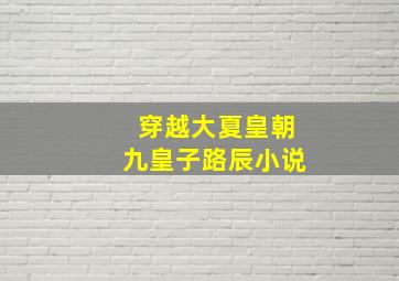 穿越大夏皇朝九皇子路辰小说