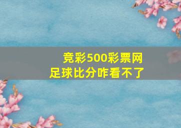 竞彩500彩票网足球比分咋看不了