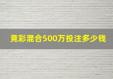 竞彩混合500万投注多少钱