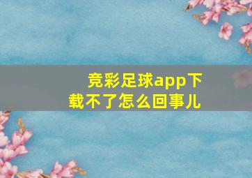 竞彩足球app下载不了怎么回事儿