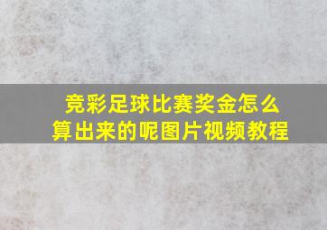 竞彩足球比赛奖金怎么算出来的呢图片视频教程