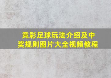 竞彩足球玩法介绍及中奖规则图片大全视频教程