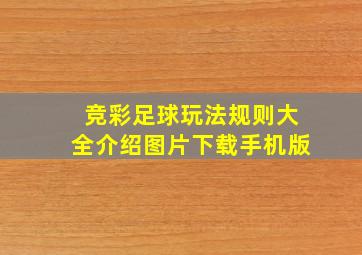 竞彩足球玩法规则大全介绍图片下载手机版