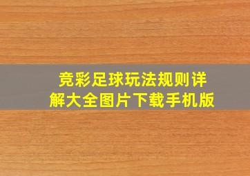 竞彩足球玩法规则详解大全图片下载手机版