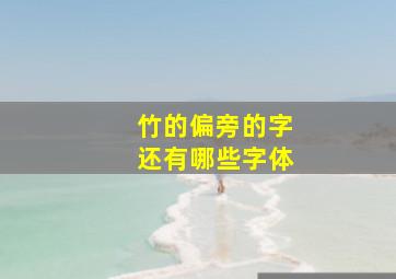 竹的偏旁的字还有哪些字体