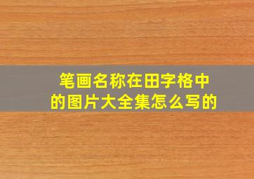 笔画名称在田字格中的图片大全集怎么写的