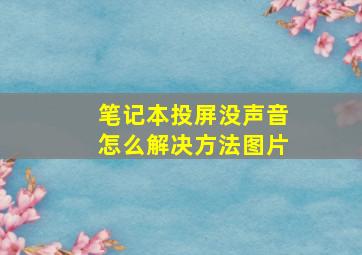 笔记本投屏没声音怎么解决方法图片