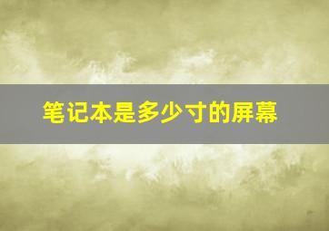 笔记本是多少寸的屏幕