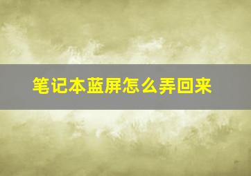 笔记本蓝屏怎么弄回来