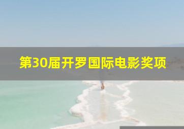 第30届开罗国际电影奖项