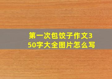 第一次包饺子作文350字大全图片怎么写