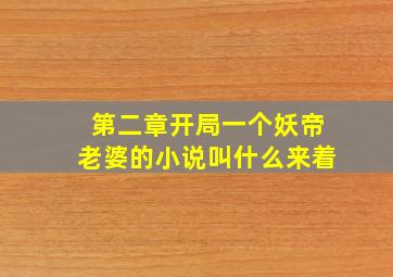 第二章开局一个妖帝老婆的小说叫什么来着