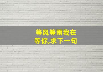 等风等雨我在等你,求下一句