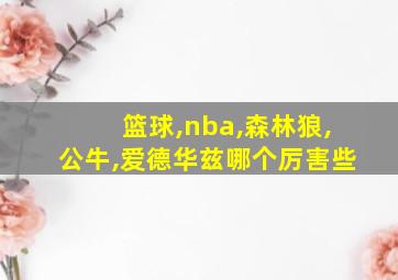 篮球,nba,森林狼,公牛,爱德华兹哪个厉害些