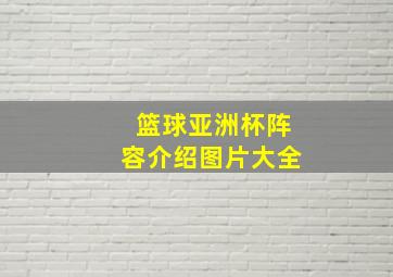 篮球亚洲杯阵容介绍图片大全