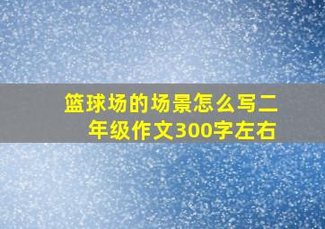 篮球场的场景怎么写二年级作文300字左右