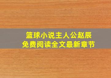 篮球小说主人公赵辰免费阅读全文最新章节